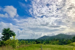 Adventure Bundle: Monkeyland, Ziplines & Buggies Punta Cana 4
