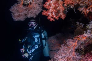 2-Tank - Twilight + Night Dive 4