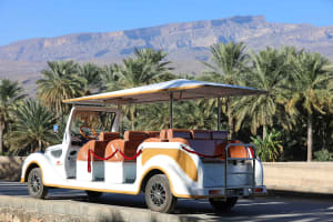 Al Hamra Cart Tour 3