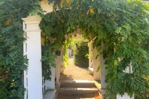 Self-Guided Smartphone Ghost Walking Tour in Salem 4