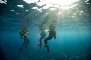 3-Day Dive Package 3