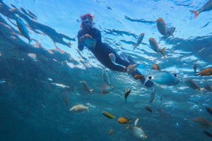 Guided Snorkeling Experience 4