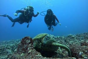 Reef Explorer: Guided 2-Tank Dive 4