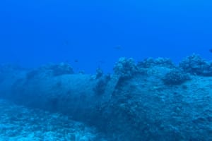 Reef Explorer: Guided 2-Tank Dive 3