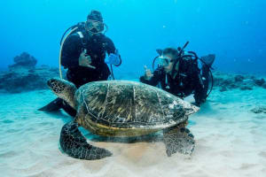 Moana Mana: Wreck & Reef Adventure - ADVANCED CERTIFIED ONLY 4