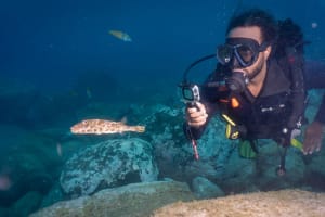 PADI Open Water Diver [eLearning] 3
