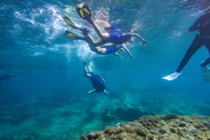 Half-Day Snorkeling Adventure in Tenerife 3