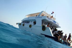 Full-Day Snorkelling Trip in Ras Mohamed 4