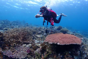 PADI Discover Scuba Diving 3
