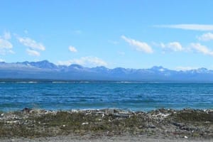 Lago Escondido y Fagnano, Ushuaia - Dia completo  3