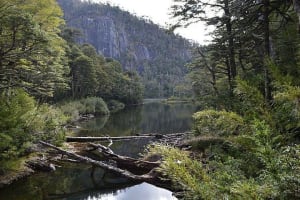 Pucón, Trekking Parque Nacional Huerquehue - Dia completo  3