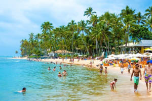 Tour Praia do Forte - Salvador de Bahía 4