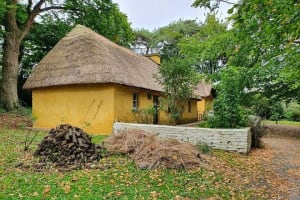 Bunratty Castle, Folk Park, Craggaunowen & Quinn Abbey Private Tour from Galway 3