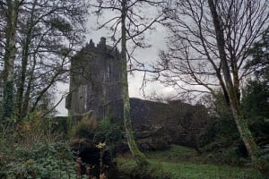 Kylemore Abbey, Connemara and Sky Road Private Tour from Galway 3