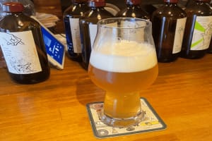 Umeda Craft Beer & Bar Hopping Tour – Evening 4