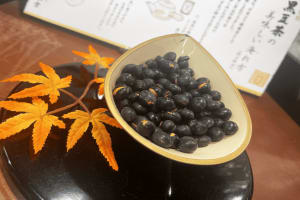 Kyoto: Casual Pontocho Evening Food Tour 3