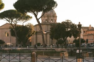 Civitavecchia Full-Day Rome Highlights With Tour Leader 4