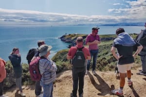 Dublin Coastal Hike, Pints & Puppies Adventure 3