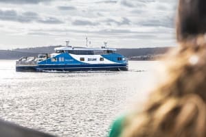 Bruny Island Food, Sightseeing, Guided Lighthouse Tour & Lunch  4