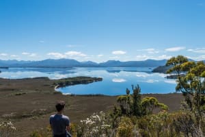 Southwest Tasmania Wilderness Experience: Fly Cruise and Walk Including Lunch 3