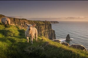 Cliffs Of Moher, Galway City & Wild Atlantic Way Day Trip From Dublin 3