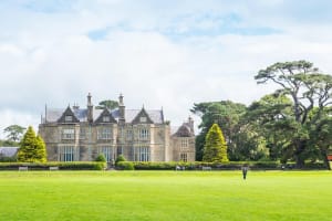 Highlights of Killarney Private Tour 3