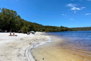 North Stradbroke Island Wildlife Adventure Tour 3