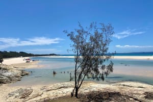 North Stradbroke Island Wildlife Adventure Tour 4