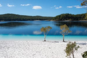 K'gari (Fraser Island) All-Inclusive Day Tour 3