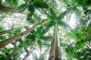 K'gari (Fraser Island) Explorer 2-Day Tour 3