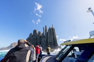 Cape Raoul Cruises Day Tour from Hobart 4