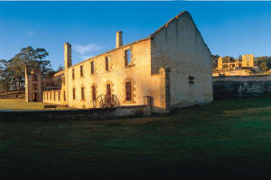 Tasman Island Cruise & Port Arthur Tour 3