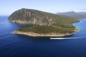 Bruny Island 3-Hour Coastal Cruise 3