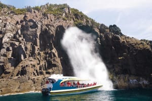 Bruny Island 3-Hour Coastal Cruise 4