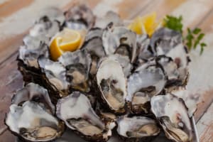 Bruny Island Gourmet Day Trip 4