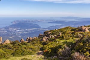 Kunanyi/Mt Wellington & Cascade Female Factory Half-Day Tour 4