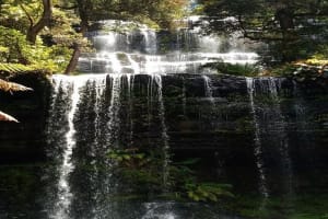 Mt Field National Park & Russell Falls Tour 3
