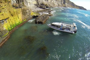 Maria Island Ferry Transfer from Hobart 3