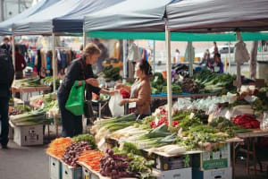 Hobart Local Luxury Half-Day Tour 3