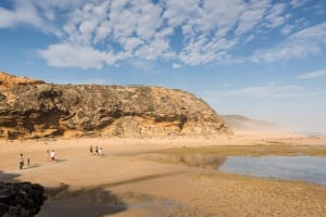 Mornington Peninsula Gourmet Explorer 3