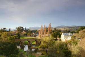 Coal River Valley Wine Hopper Tour 3