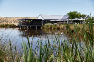 Signature Saturday Wine Tour 3