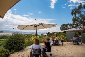 Signature Saturday Wine Tour 4
