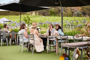 Richmond and Wine Tasting Tour 3