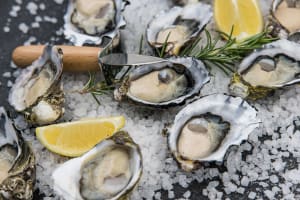 Bruny Island Guided Day Tour from Hobart 4