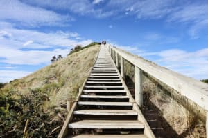 Bruny Island Full-Day Guided Tour from Hobart 3