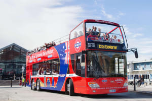 Hobart Hop-on Hop-off Bus Tour 4