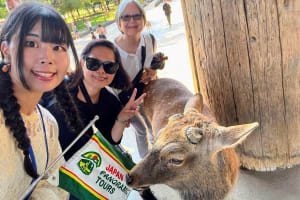 Morning Wonder World Heritage Nara Guided Tour 4