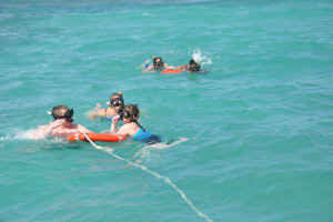 Punta Cana Shark & Stingray Snorkeling Cruise 4