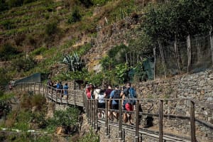 Private Cinque Terre Day Trip from Florence with Optional Hiking 3